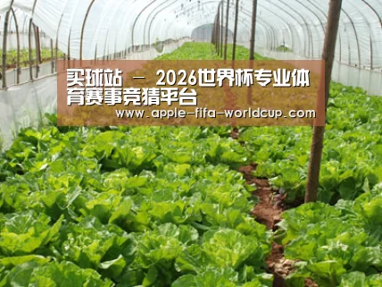 种植基地五