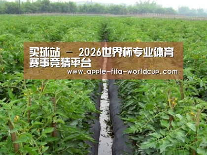 种植基地三
