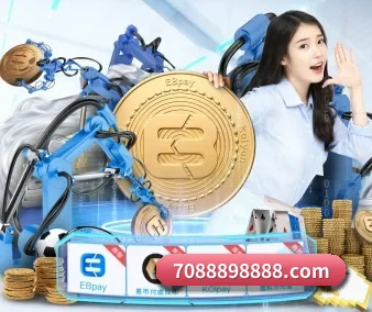 世界杯五大内容板块,覆盖赛事直播与实时比分