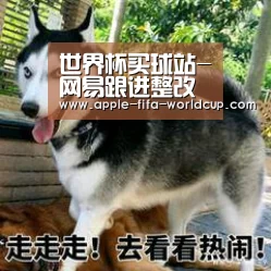 世界杯买球